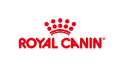 上海唐能翻译公司 专业翻译服务，助您跨越语言障碍