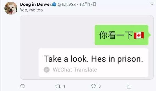 从“加拿大国旗”到“他在监狱中” 微信翻译乌龙与官方致歉的背后