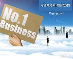 跨越语言之桥——上海译境的专业文件翻译服务